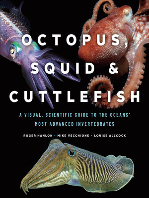cover image of Octopus, Squid & Cuttlefish